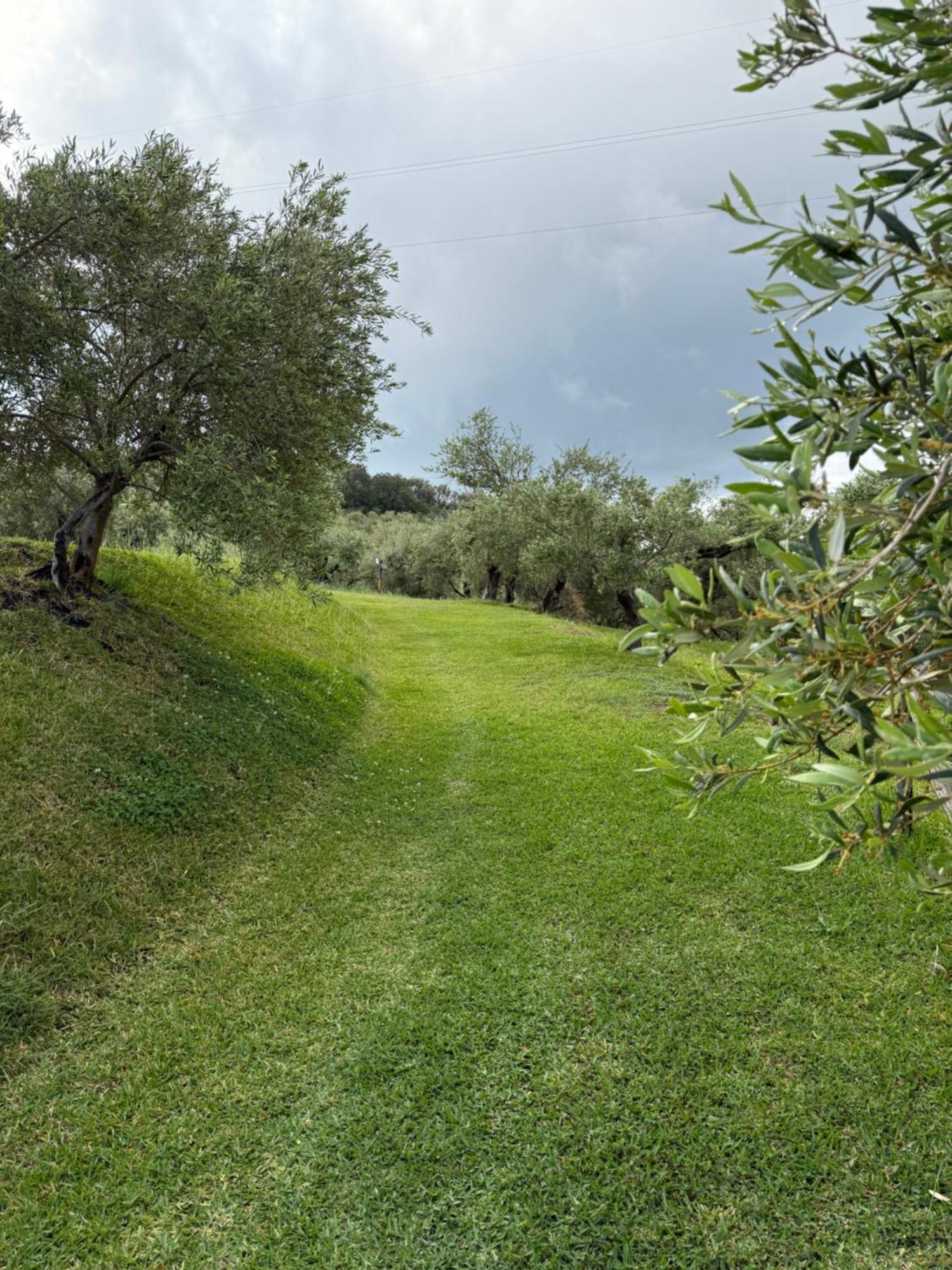 Hotel Agrolea Terme Vigliatore Exterior foto