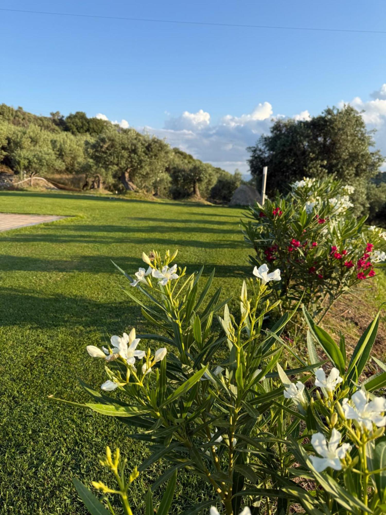 Hotel Agrolea Terme Vigliatore Exterior foto