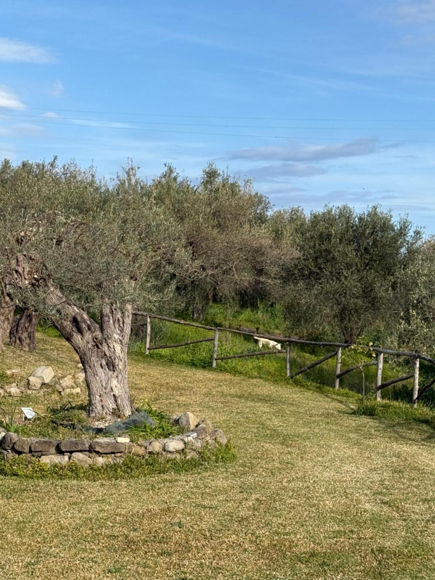 Hotel Agrolea Terme Vigliatore Exterior foto