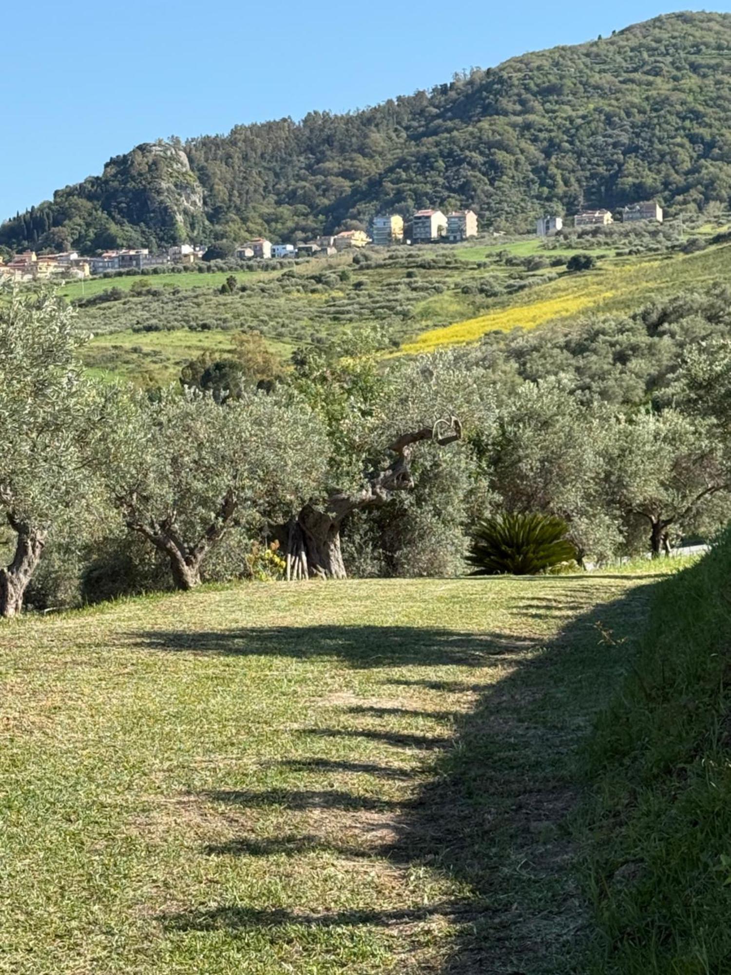 Hotel Agrolea Terme Vigliatore Exterior foto