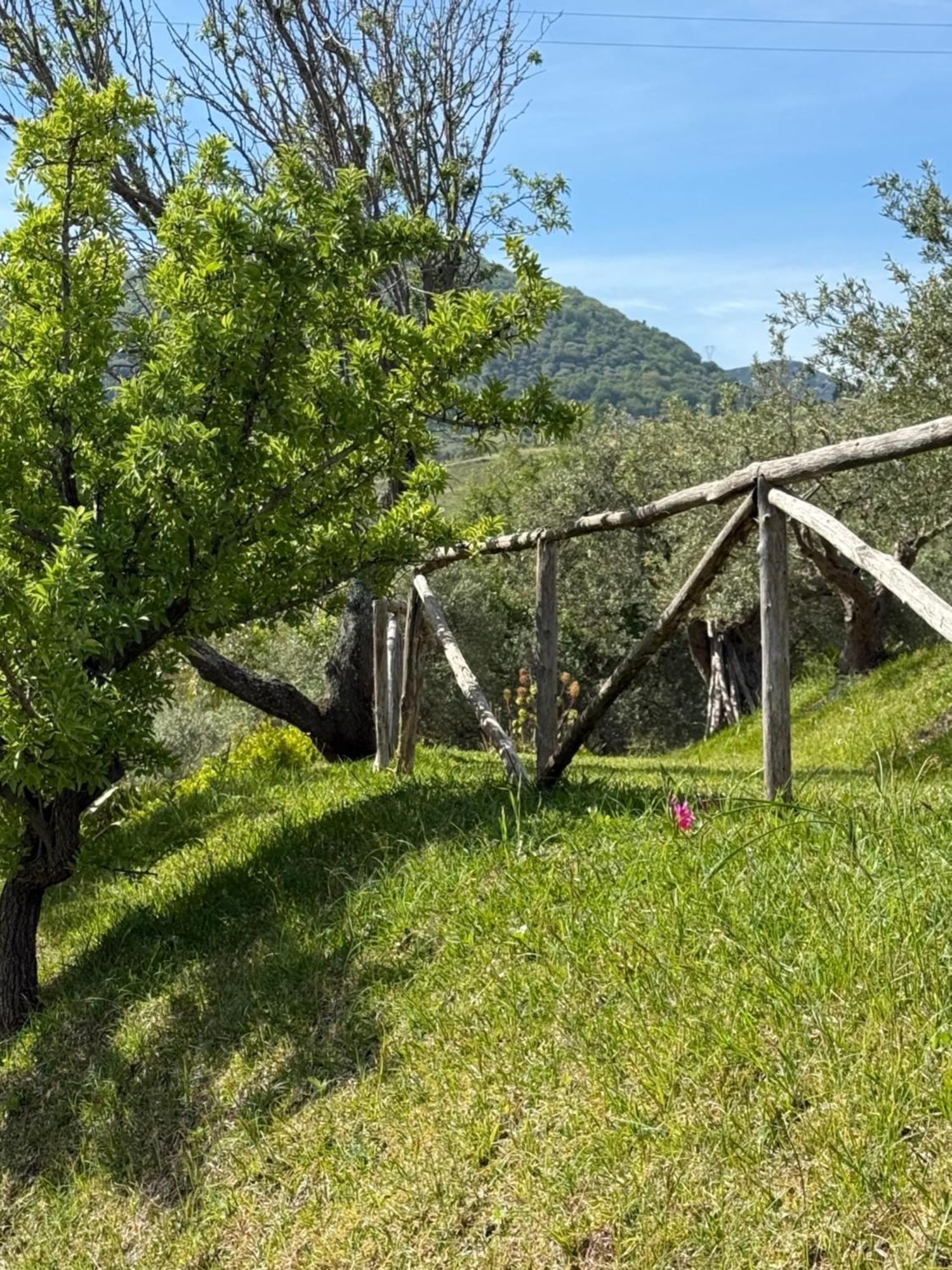 Hotel Agrolea Terme Vigliatore Exterior foto